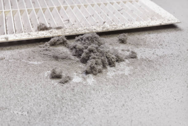 Best HVAC System Cleaning  in Ocala Estates, FL
