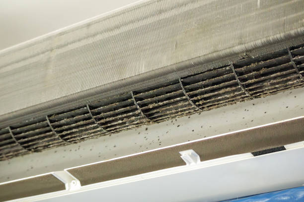 Best Air Duct Cleaning Near Me  in Ocala Estates, FL